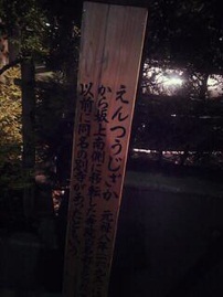 せ…否、MAXさん♪