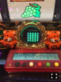 生きてました??