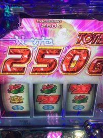 やっと冬が来たのかな