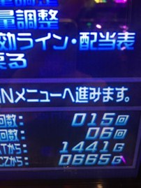 やっと冬が来たのかな