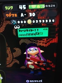 やってやったぜ