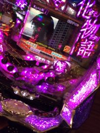ハマってる!?