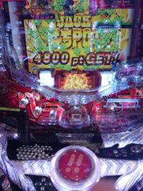 白黒つけるしかないようです