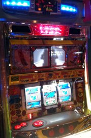 貴重な一枚