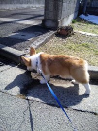 春めいて来ましたね