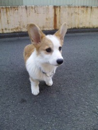 春めいて来ましたね