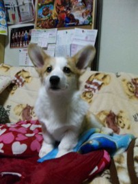 あの方の陣中見舞い