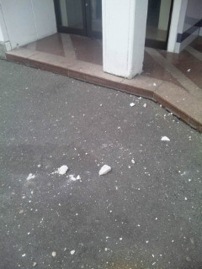 東北地方太平洋沖地震