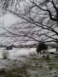 リュウタの放射性物質被害