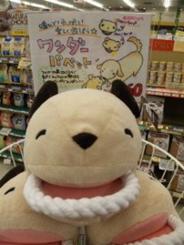 わんこもSOS!?