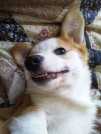 5秒後に思った