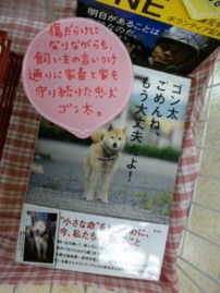 ゴン太ごめんね、もう忘れないよ!
