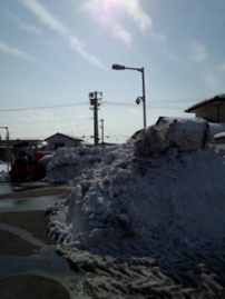 大雪の被害が深刻です