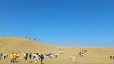 砂丘に神