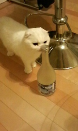 小役カウンターFLASH