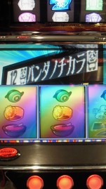 お久しぶりで～す