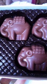 タイからの贈り物