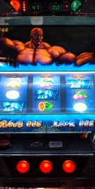 どうでしょうキター!