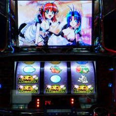 miss pumpkinの滑稽な夢