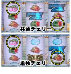 チェリーについて